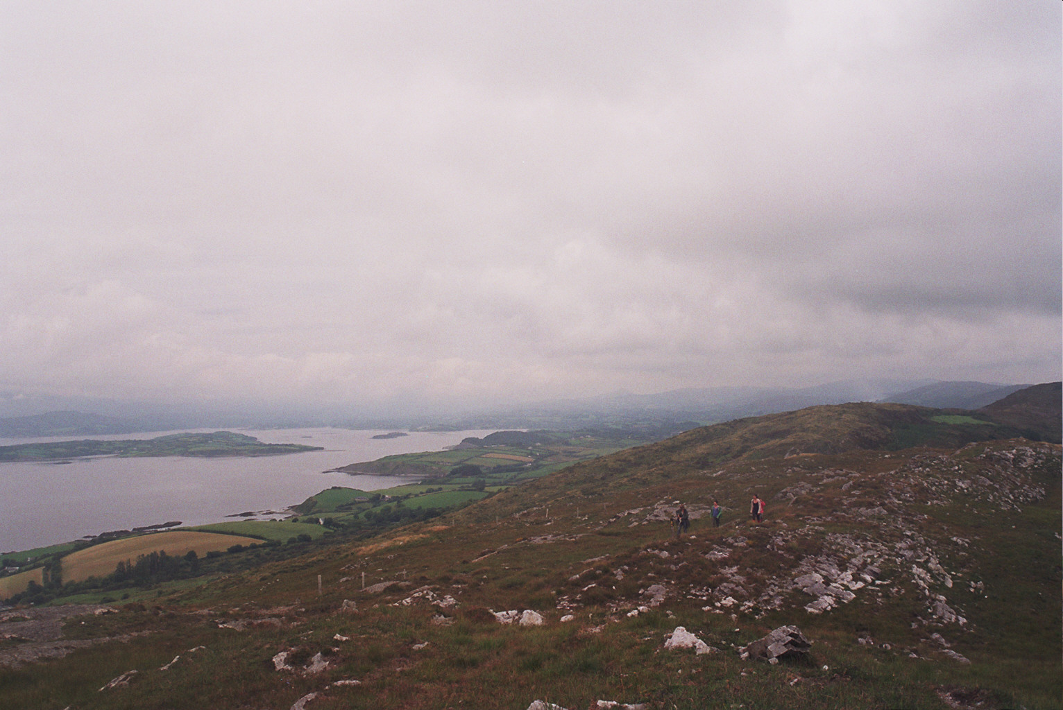 Sheep's Head Food Company Durrus Cheese