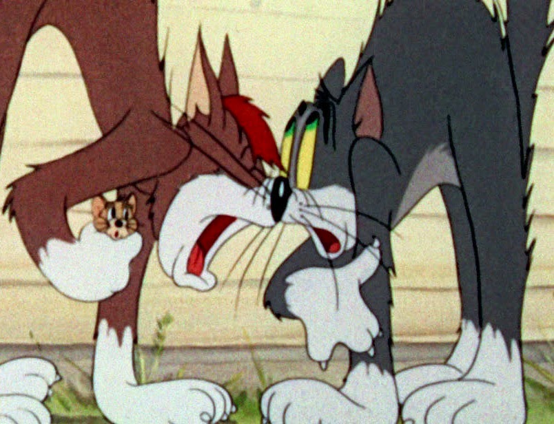 Tom & Jerry Episodio 9 (Gatos sufridos) Audio Latino (1943) Tom & Jerry Episodio 9 (Gatos sufridos) Audio Latino (1943)