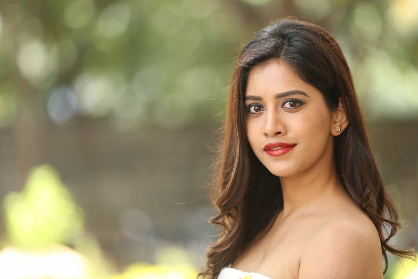 Nabha Natesh at Nannu Dochukunduvate movie Success Meet