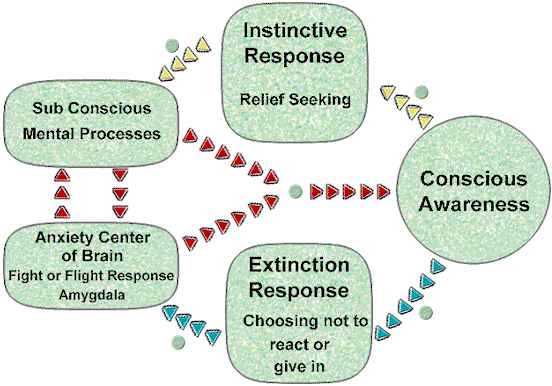Ocd treatment manual pdf image