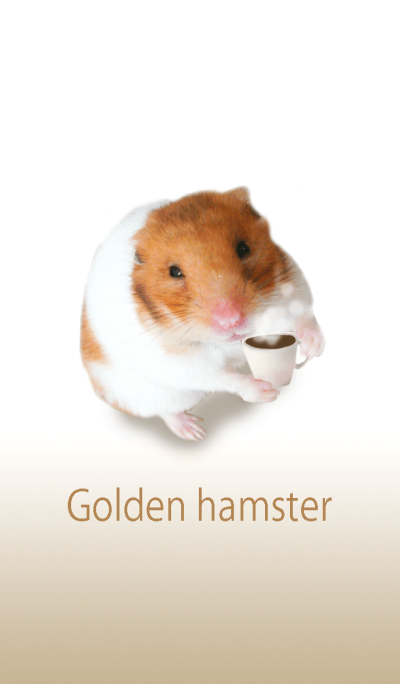The hamster hands the coffee