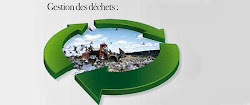 Environnement Algerie valorisation 2013