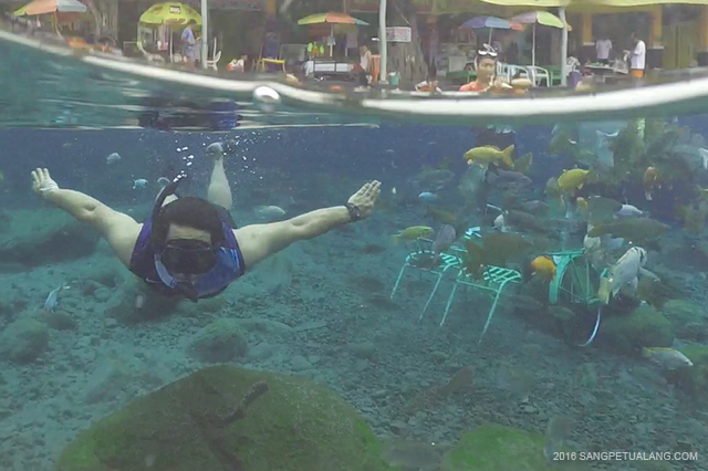 Snorkeling di Umbul Ponggok Snorkeling di Umbul Ponggok