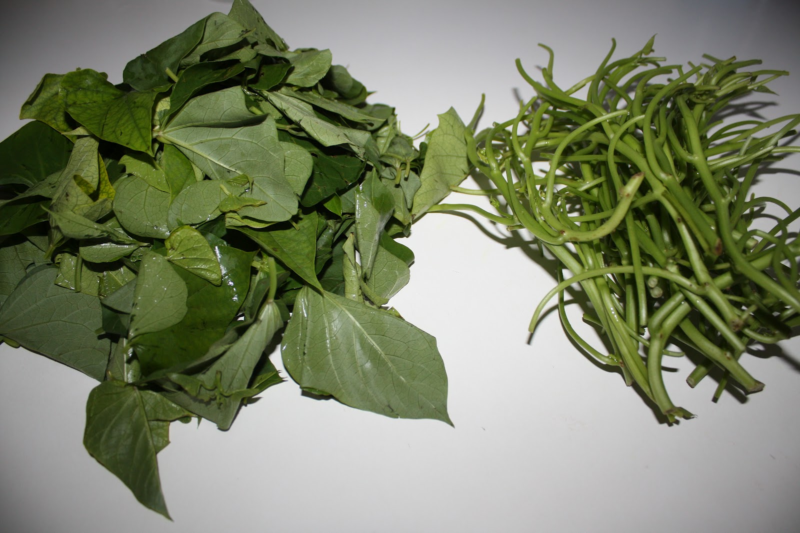 Recipes and Tips To Fight M.S. Garden Salad with Yam Greens and Dulse