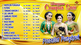 Lirik Lagu Protelon Pungkruk - Vivi Voleta