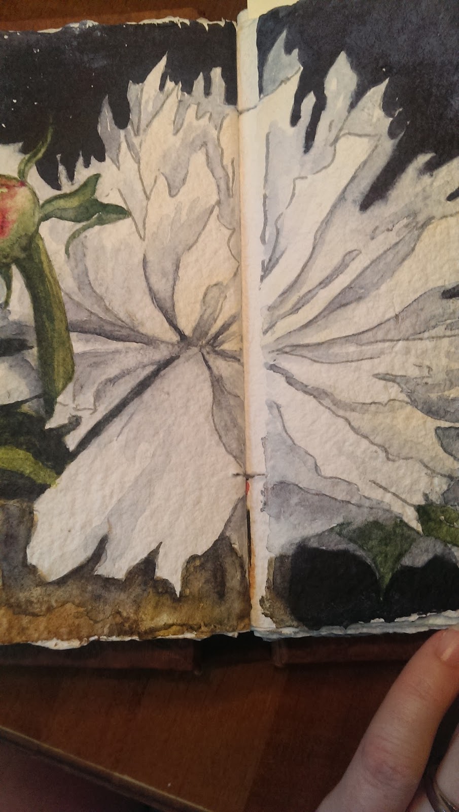 Suzanne I Am Hand•Book Journal Company's Handmade Watercolor Book A