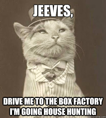 house-hunting-meme-cat.jpg