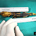 Atacama Skeleton | A 15cm Long Complete Human Body
