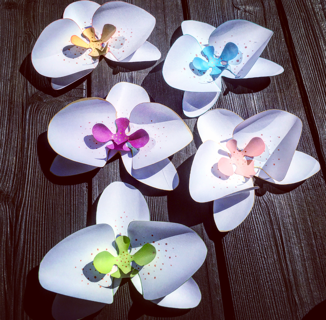 MuchoCrafts HANDMADE PAPER ORCHIDS