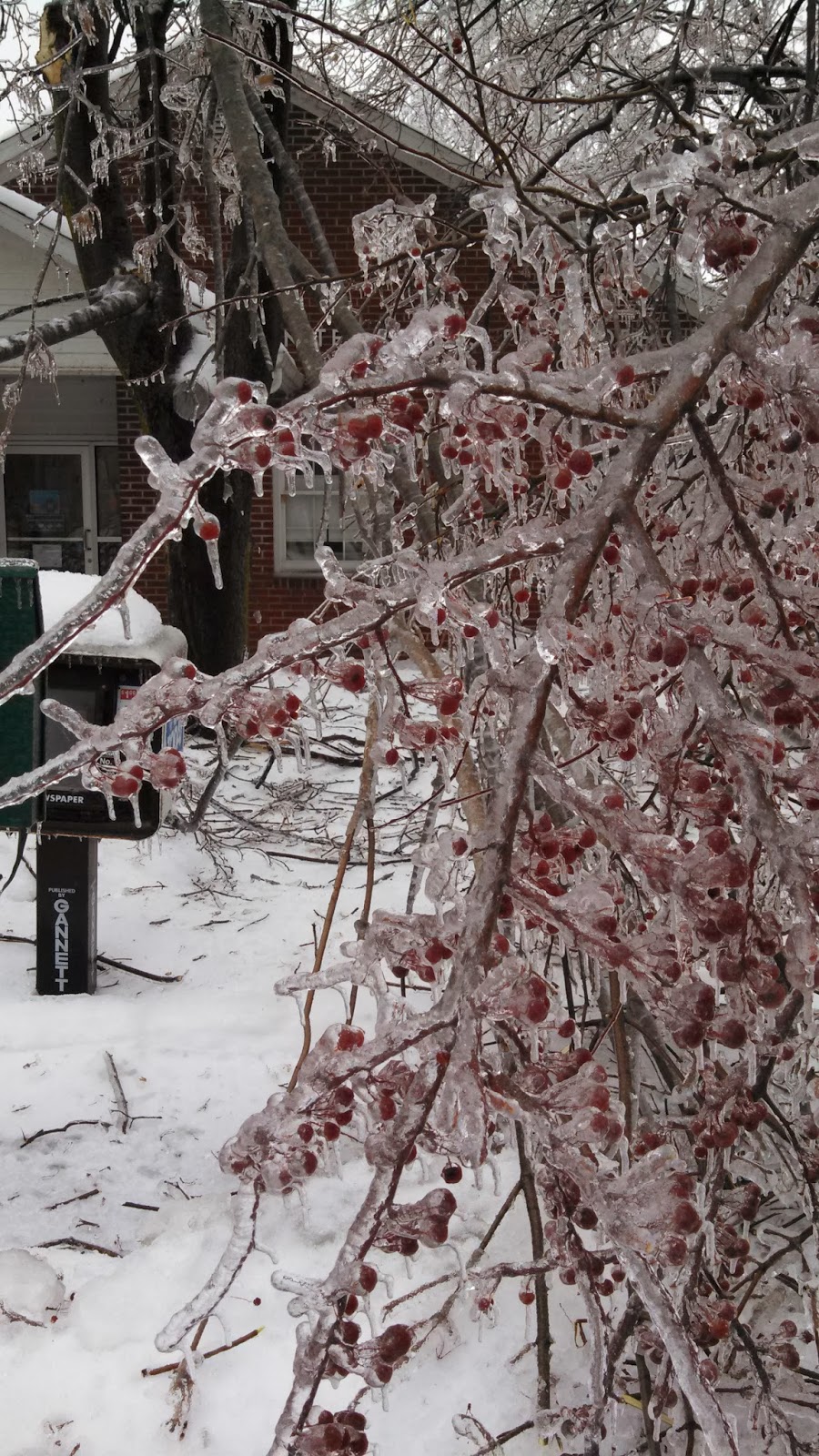 PANDORA'S BOX OF ROCKS Pictures Sackets Harbor NY Ice storm