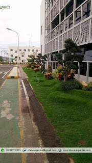 Arsitek Taman Surabaya