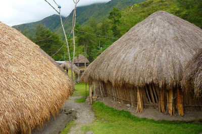 Foto Rumah Adat Papua Foto Rumah Adat Papua