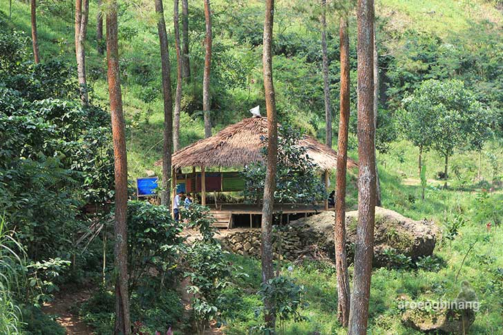 curug bajing petungkriyono pekalongan
