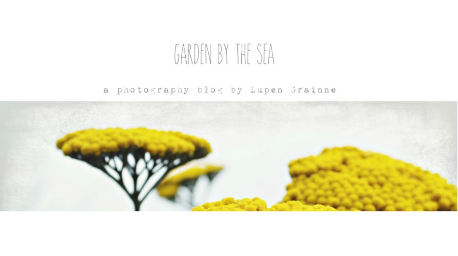 Garden by the sea -  Photography blog by Lupen Grainne