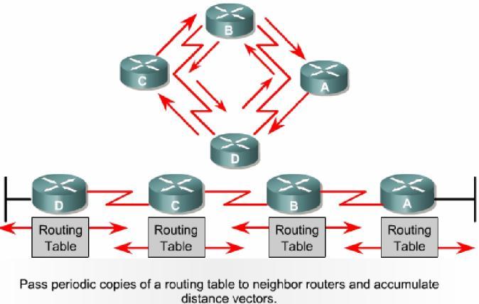 My study in Information Technology: Routing
