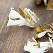 manfaat jamur maitake manfaat jamur maitake