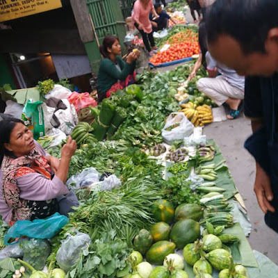  Popular Vegetables in Mizoram