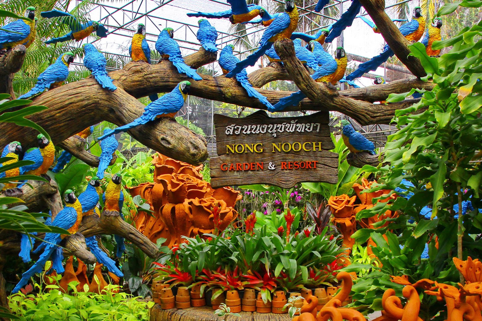 สวนไม้และกระถาง