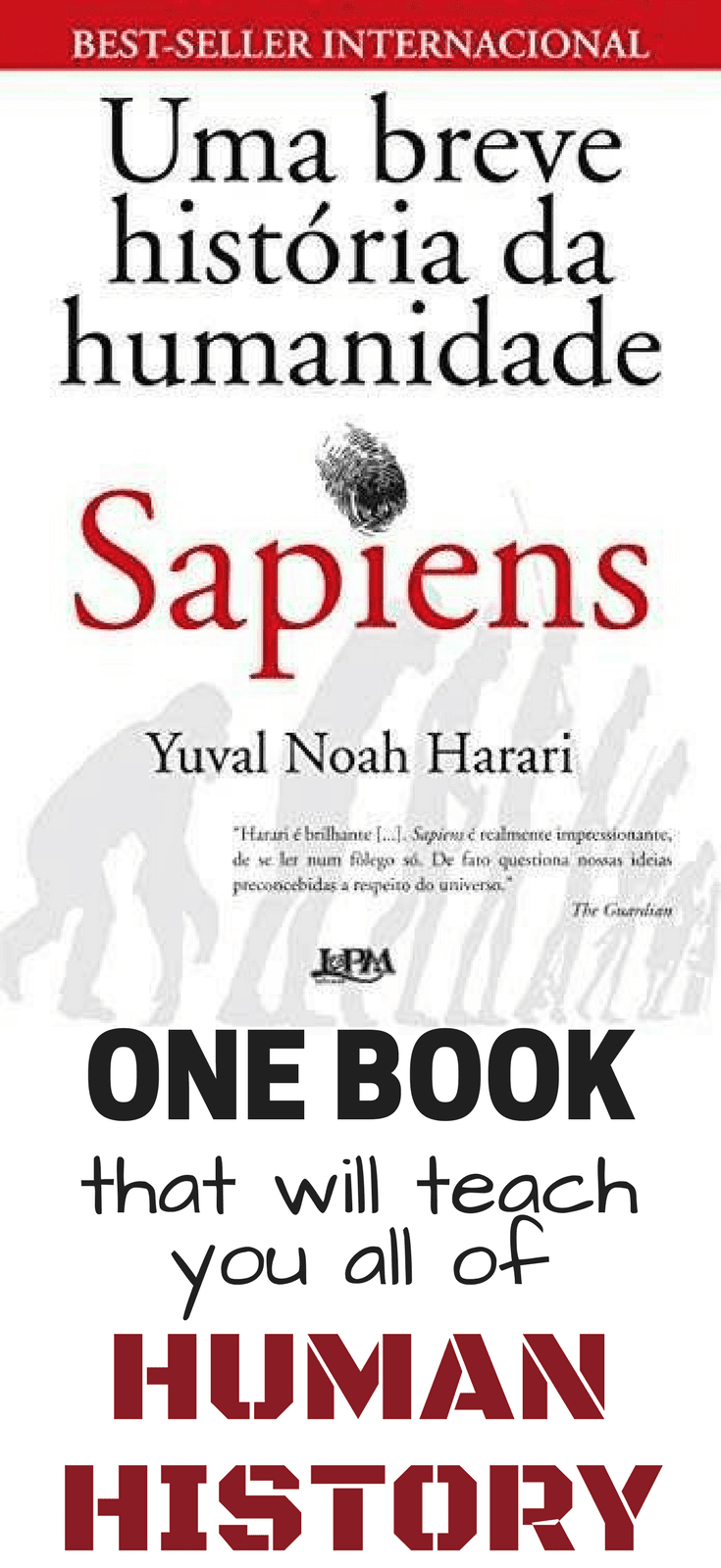 Sapiens - One Book That Will Teach You All Of Human 