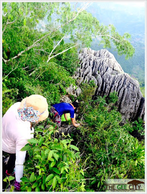 one of the difficult part going to Mt. Mauyog's summit