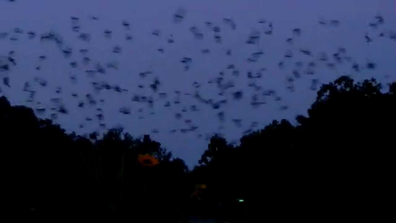 Hidden Treasures of Gainesville