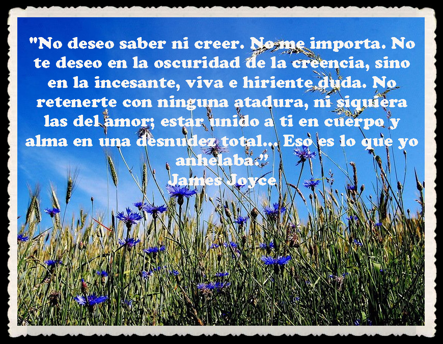 Mi guerrero valiente : pensamientos , versos , frases celebres ilustradas MI GUERRERO VALIENTE : PENSAMIENTOS , VERSOS , FRASES CELEBRES ILUSTRADAS
