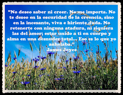Soberano amor por fanny jem wong: pensamientos, versos y frases para MI GUERRERO VALIENTE : PENSAMIENTOS , VERSOS , FRASES CELEBRES ILUSTRADAS