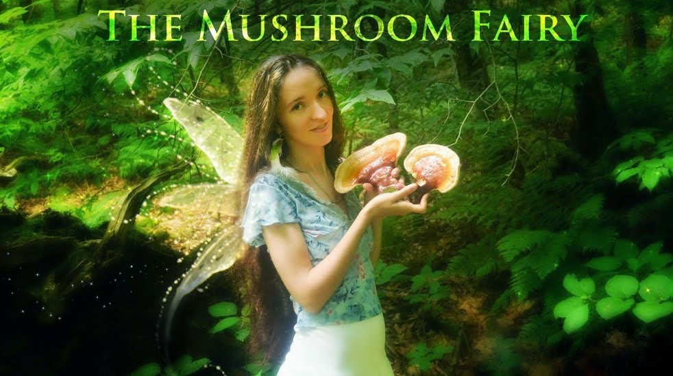 The Mushroom Fairy