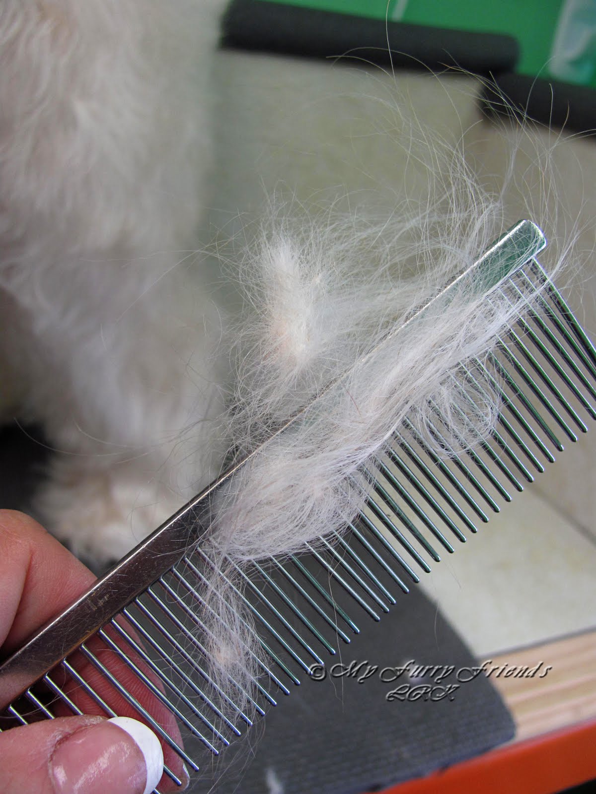 Pet Grooming The Good, The Bad, & The Furry Using a Mat Splitter to Demat a Beard