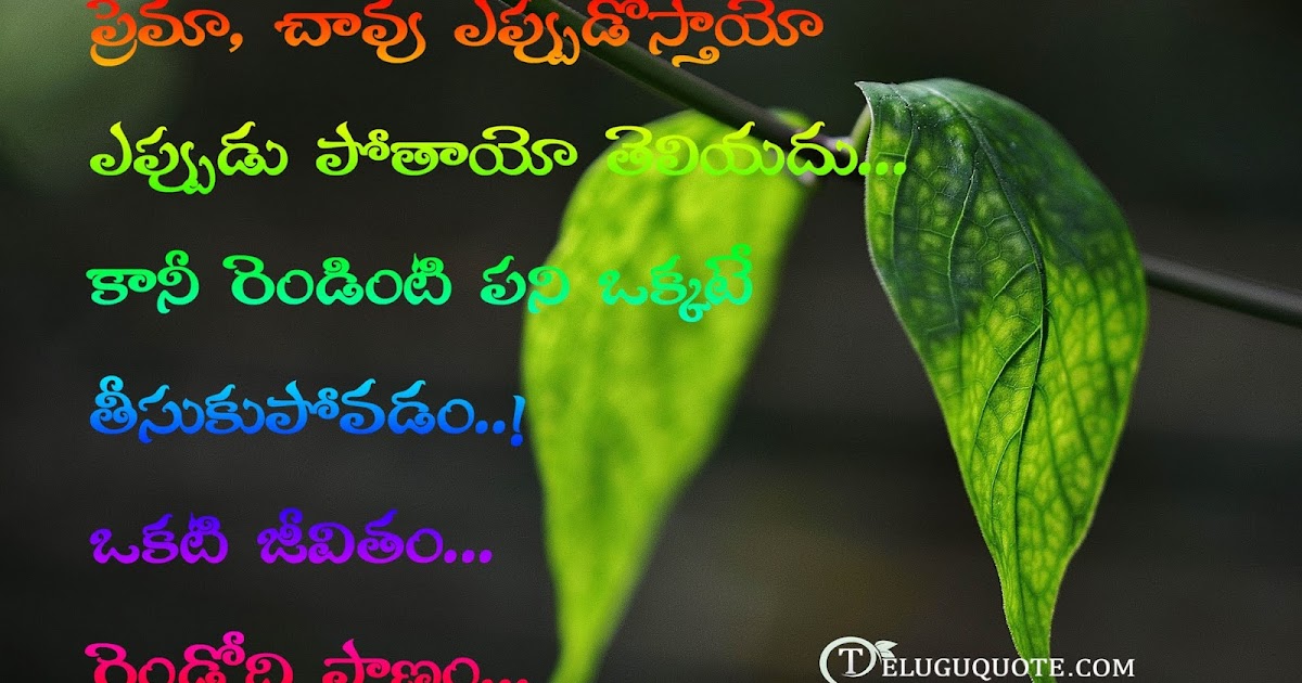 love death quotes in telugu telugu quotes love death quotes in telugu telugu quotes