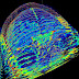 LSD Produces 'Harmonic' Order In The Brain
