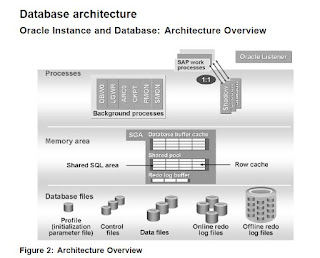 Oracle Database architecture - BASISWORLD