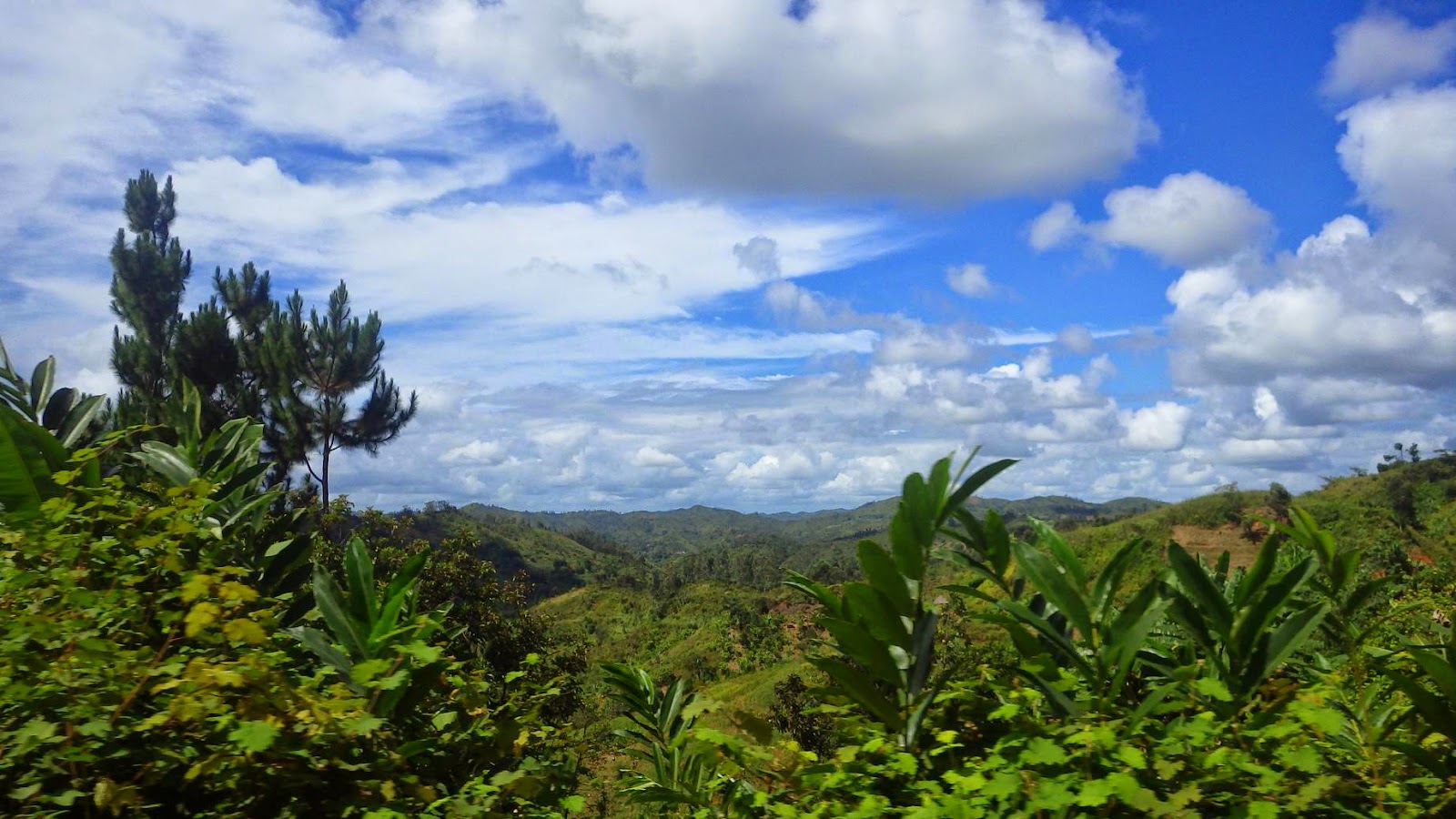 Elder Jake Roush's Madagascar Adventures