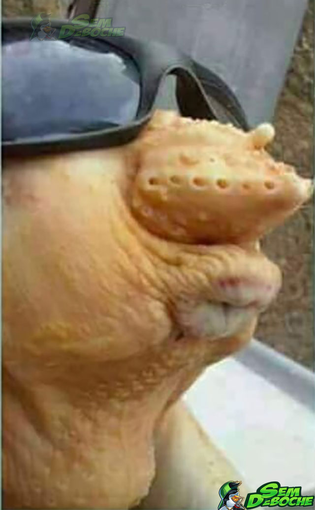 BOQUINHA DE CÚ BOQUINHA DE CÚ