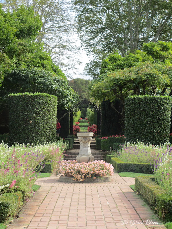 Fall Gardens at Filoli- www.gildedbloom.com Fall Gardens at Filoli- www.gildedbloom.com