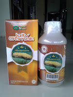 http://www.fatmawatisusi.com/2016/10/obat-vitiligo-minum-dan-oles.html