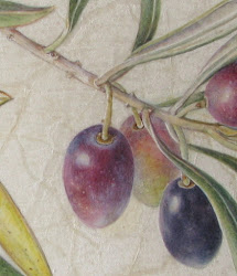 vellum olive painting botanical watercolour sketches stories veiny paintings