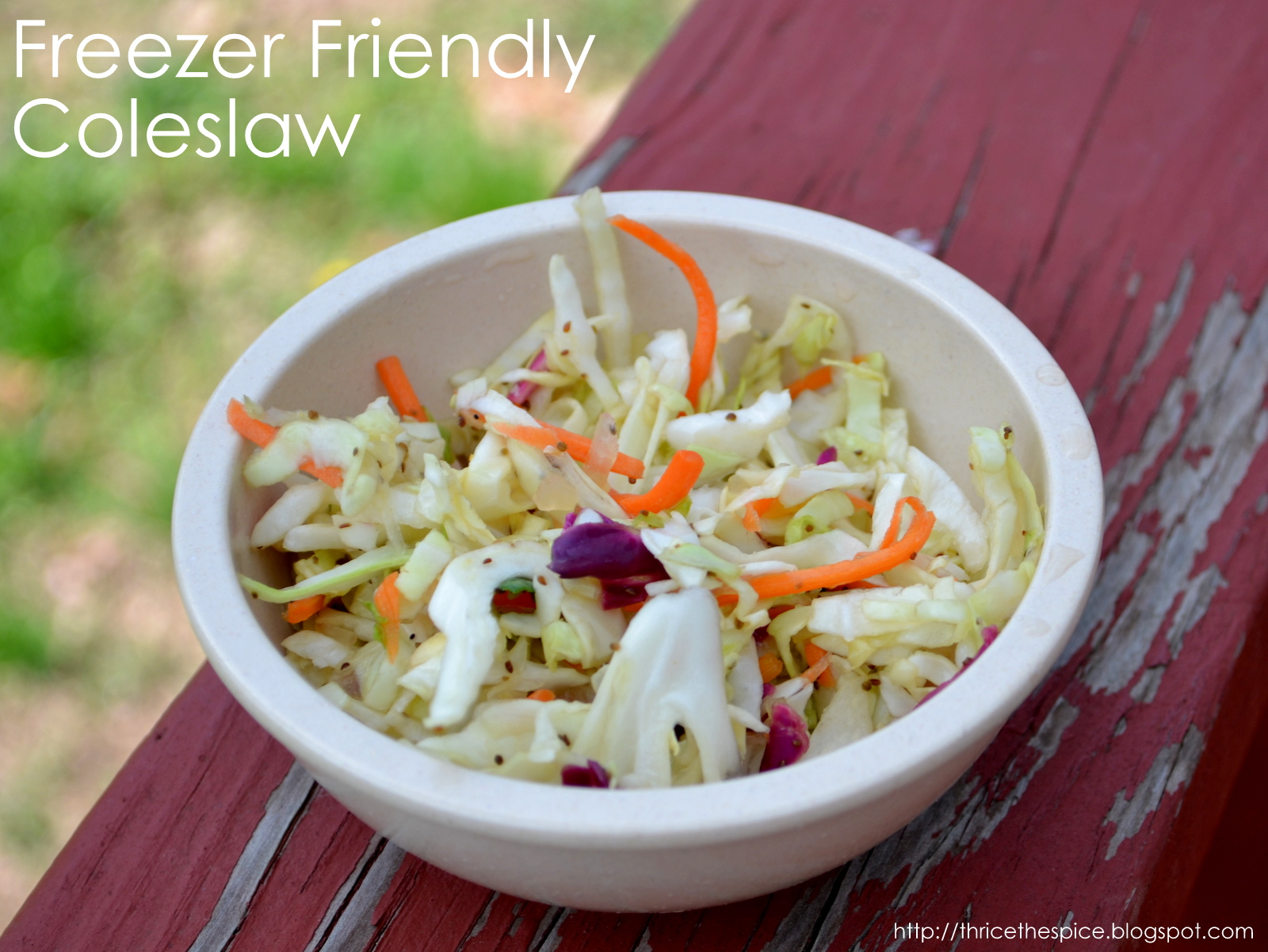 Frozen Coleslaw