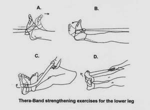 Theraband Exercises