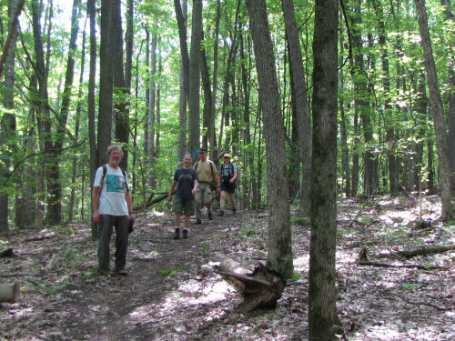 hikers in woods