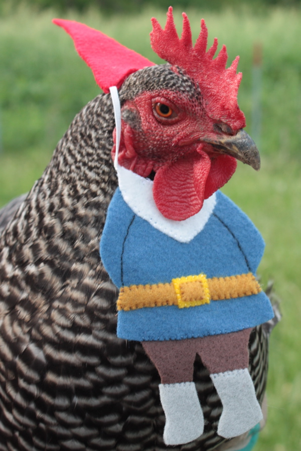 BaGawks Chickens in Tiny Hats Chicken Gnome