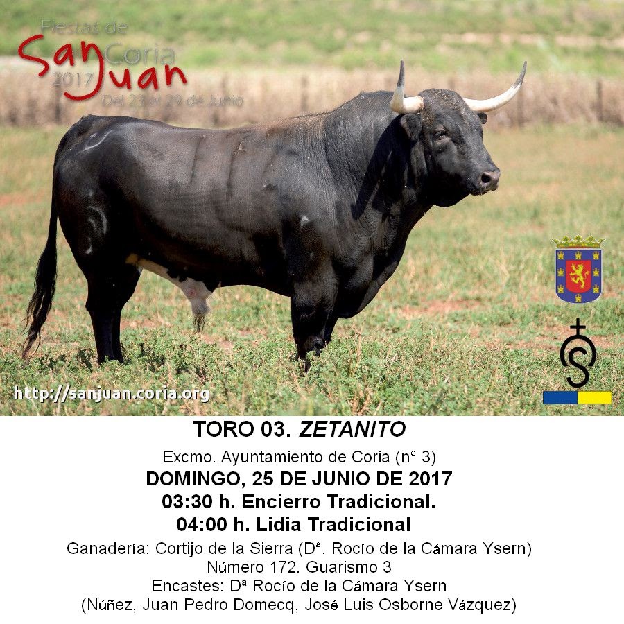 san juan coria sanjuanes de coria 25noche san juan coria sanjuanes de coria 25noche