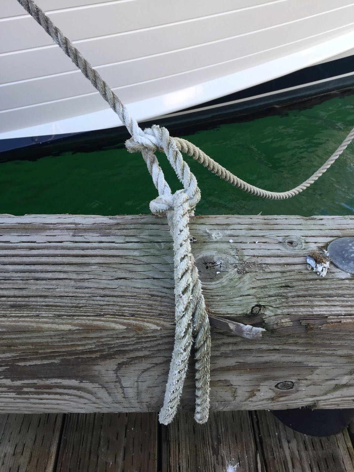 Denali Rose Tidbit Docking with Bull Rails Instead of Cleats