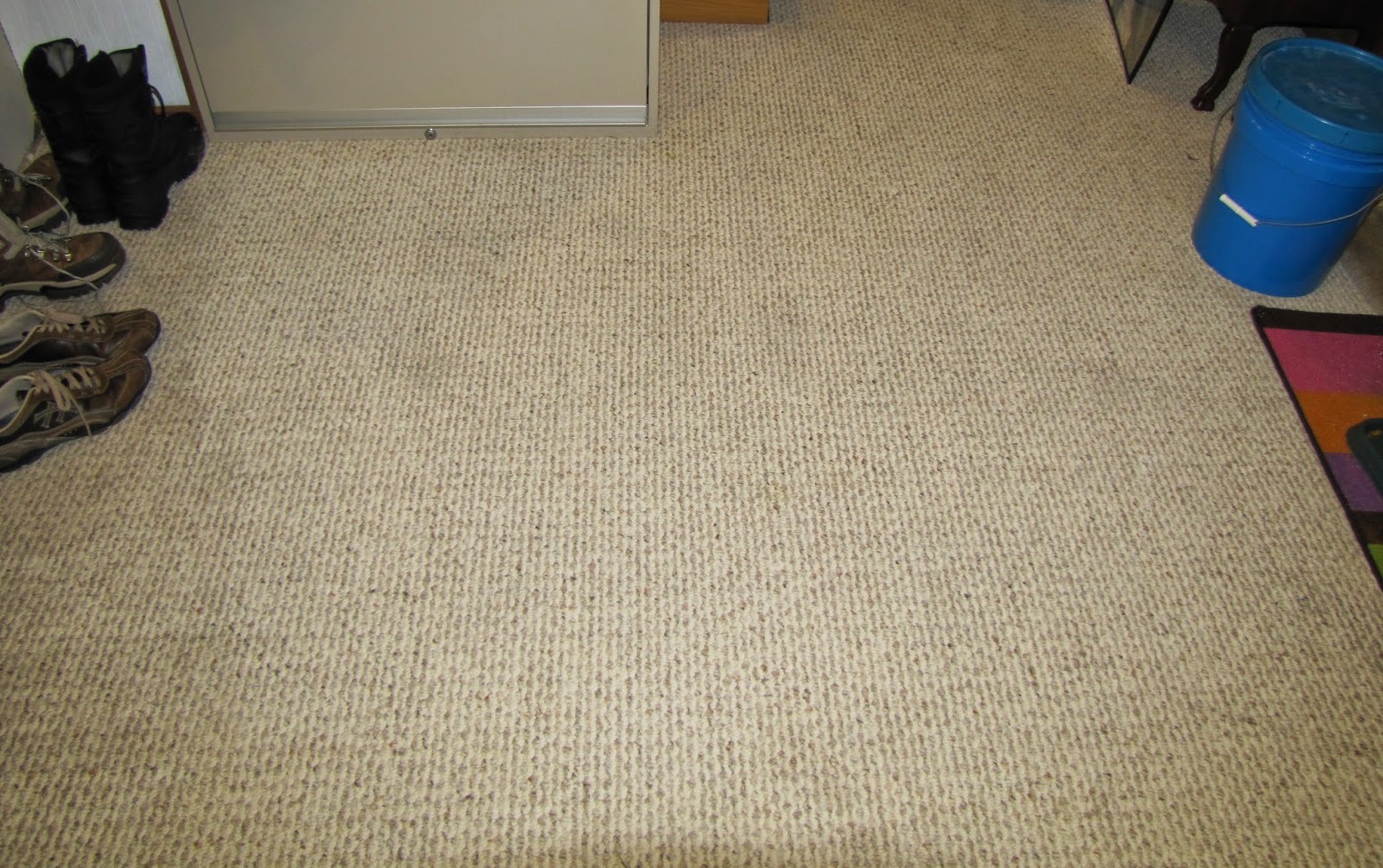Clean pet stains from carpet