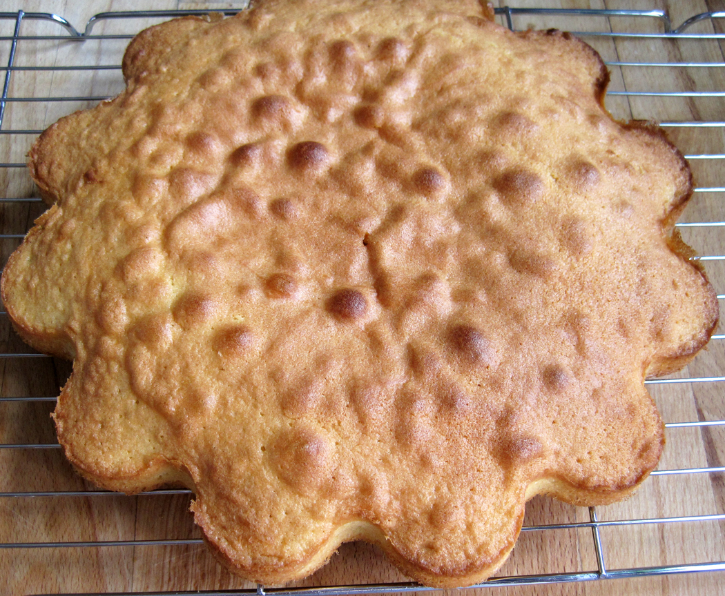 Heart shaped sponge cake