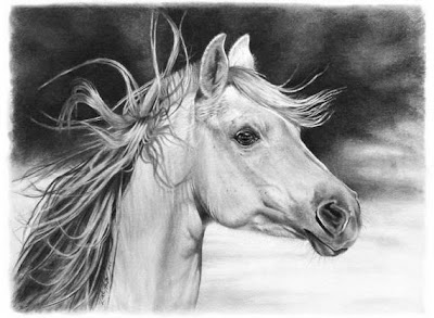 dibujo artístico realista a lápiz dibujo artístico realista a lápiz