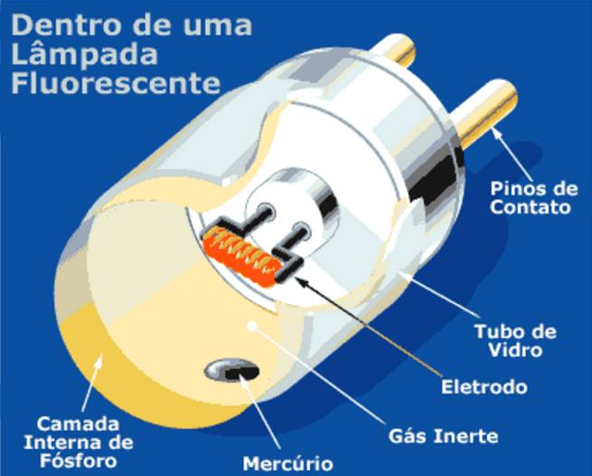 Ciências&Viver Como funcionam as lâmpadas fluorescentes