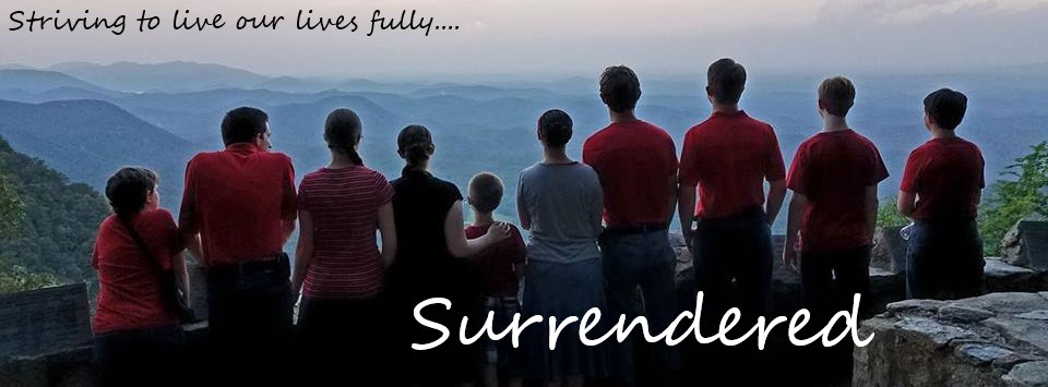 surrendered-30-day-bible-reading-plan