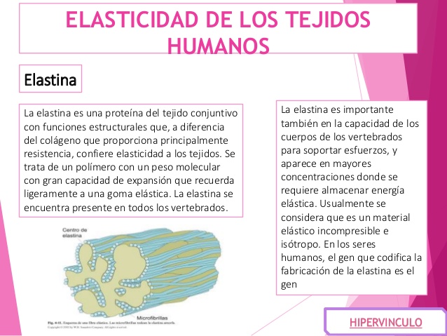 Elasticidad Y Resistencia De Los Tejidos Humanos