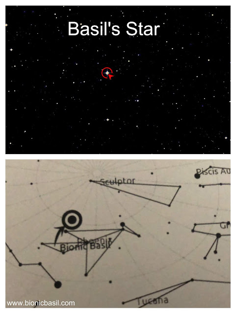 The Exact Location of Bionic Basil's Star in The Phoenix Constellation #BasilsStar